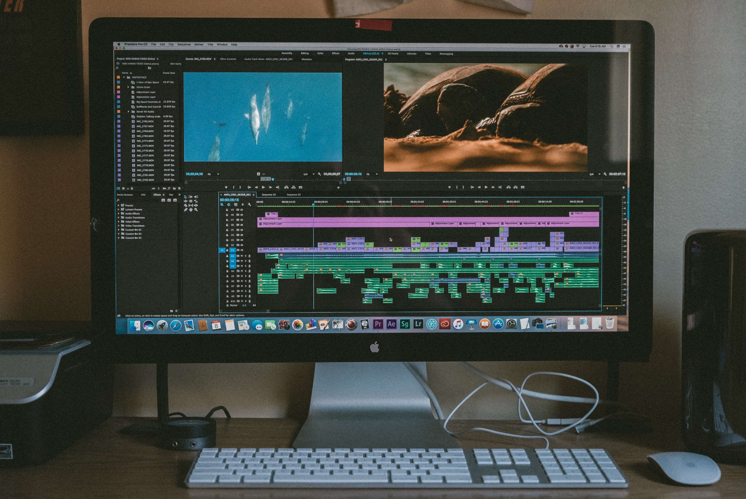 video editor for pc beginners